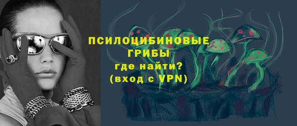 PSILOCYBIN Белокуриха