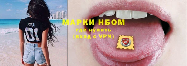 PSILOCYBIN Белокуриха