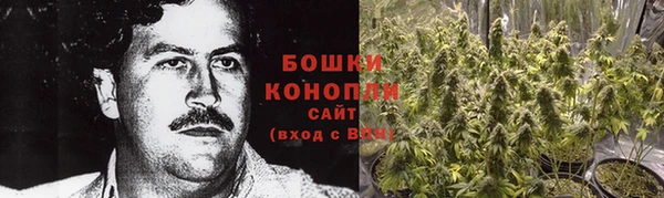 PSILOCYBIN Белокуриха