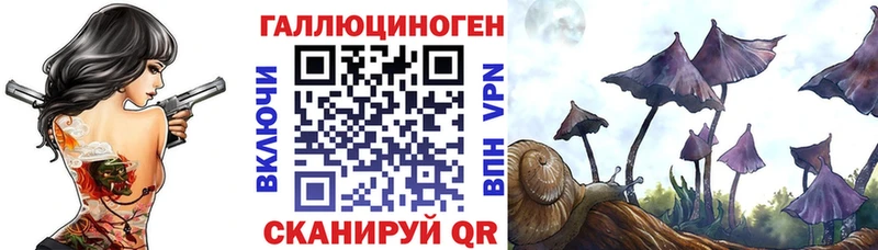 Галлюциногенные грибы прущие грибы Волгореченск