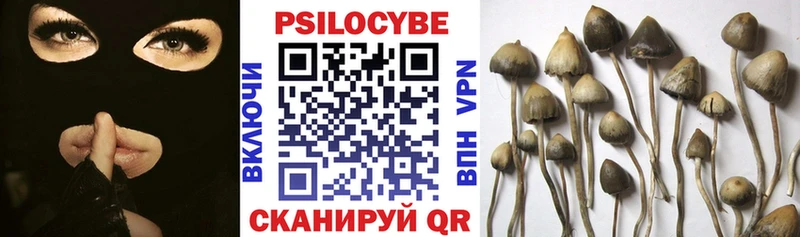 Галлюциногенные грибы Magic Shrooms  Волгореченск 